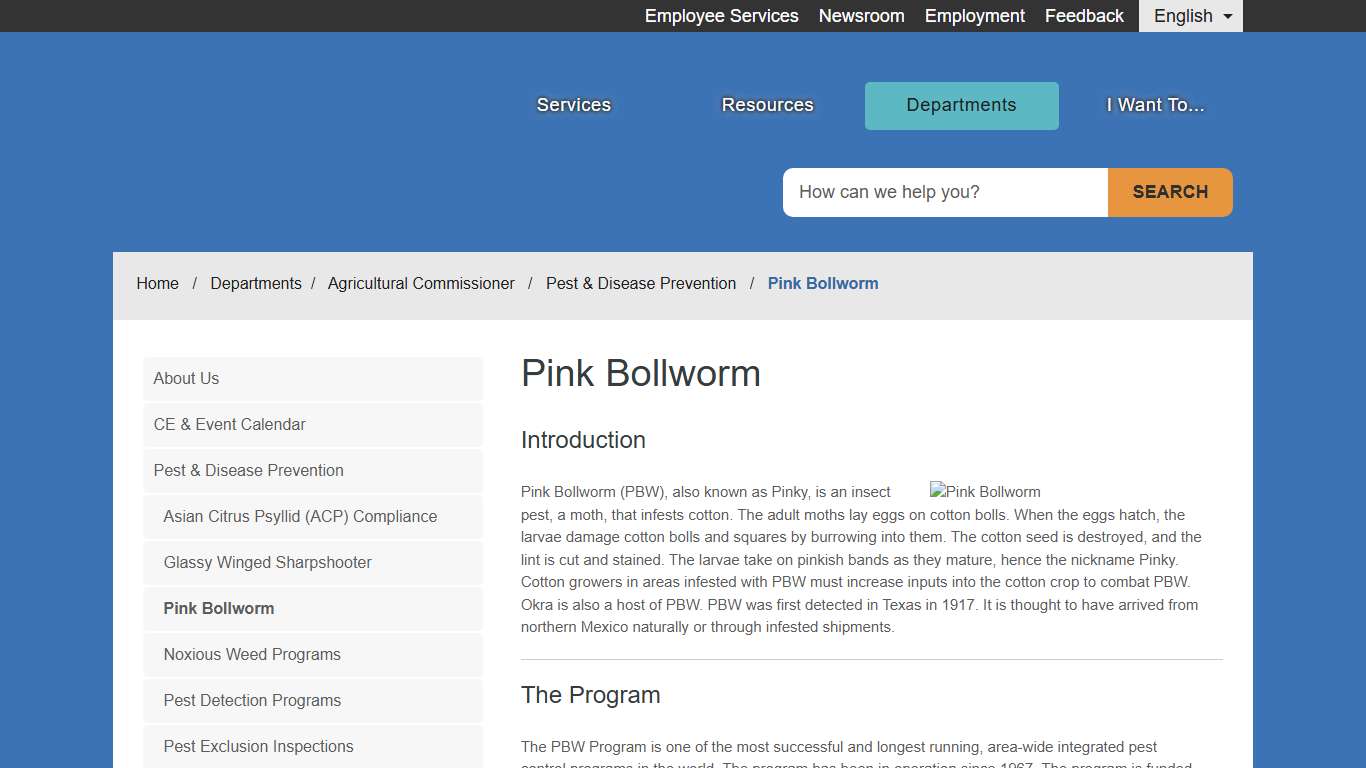 Pink Bollworm - County of Fresno